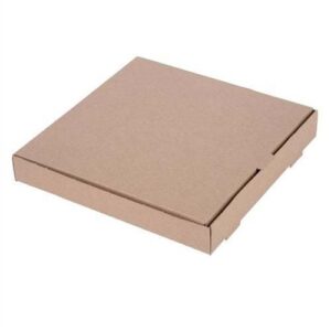 brown pizza box 2